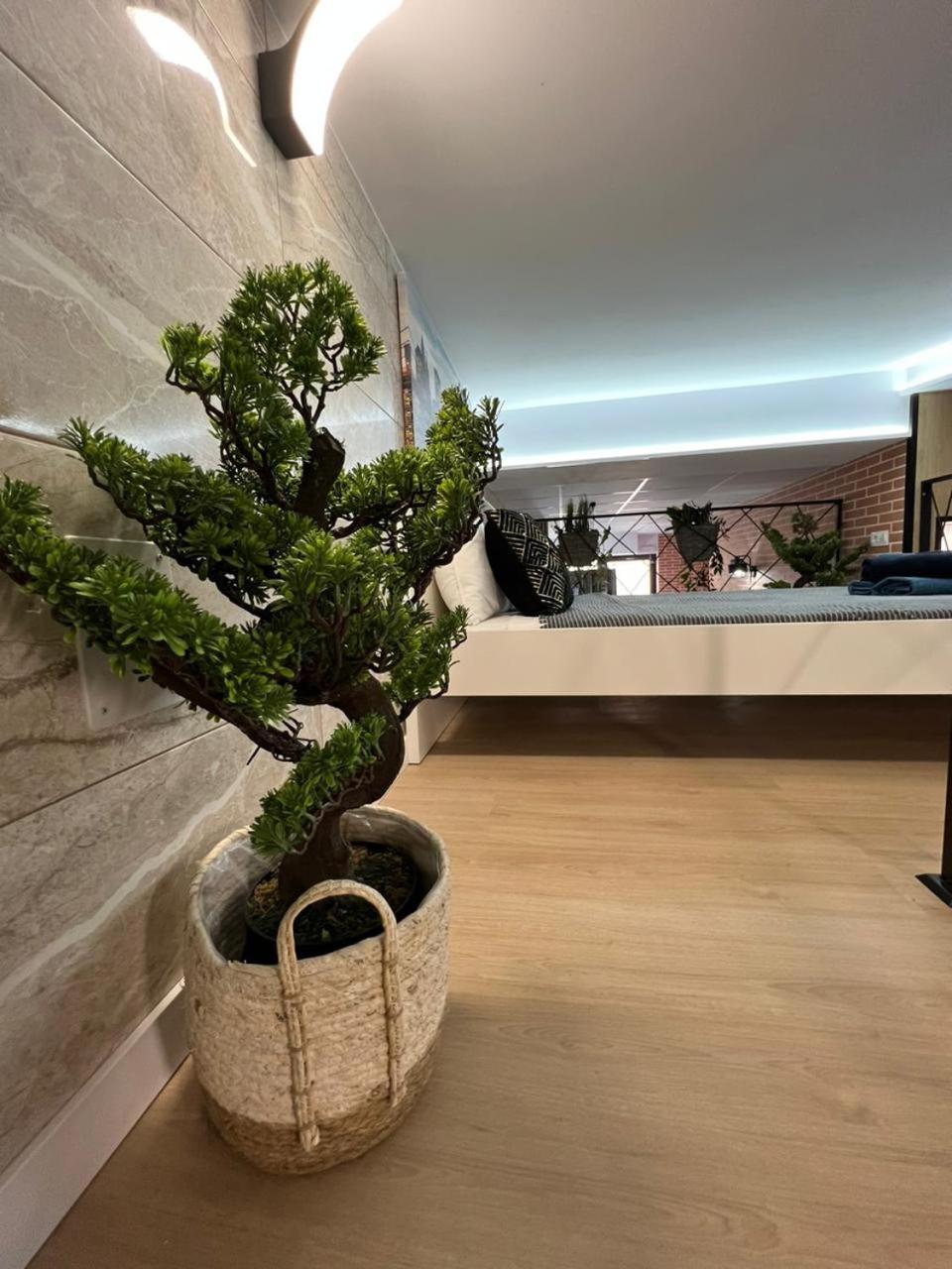 Carcaixent 24 Aparthotel บาเลนเซีย ภายนอก รูปภาพ